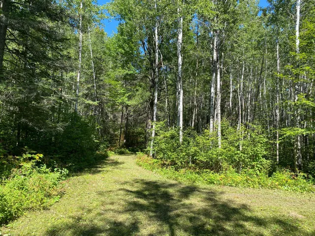 $49,900 | Tbd Buck Drive, Bovey, MN 55709