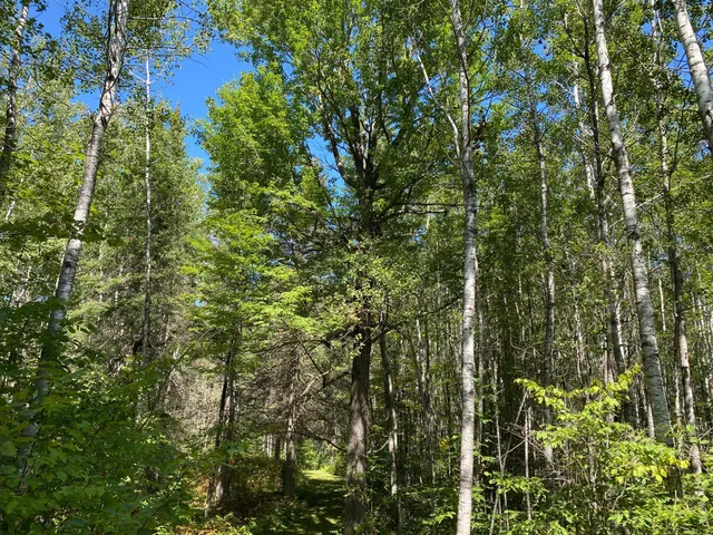 $49,900 | Tbd Buck Drive, Bovey, MN 55709