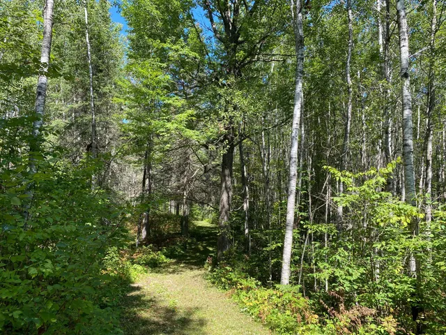 $49,900 | Tbd Buck Drive, Bovey, MN 55709