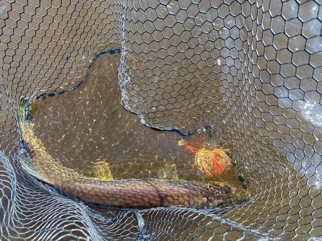 $49,900 | Tbd Buck Drive, Bovey, MN 55709