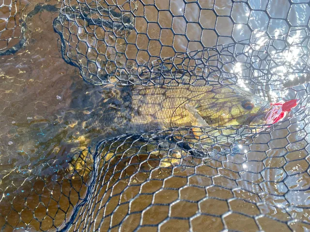 $49,900 | Tbd Buck Drive, Bovey, MN 55709