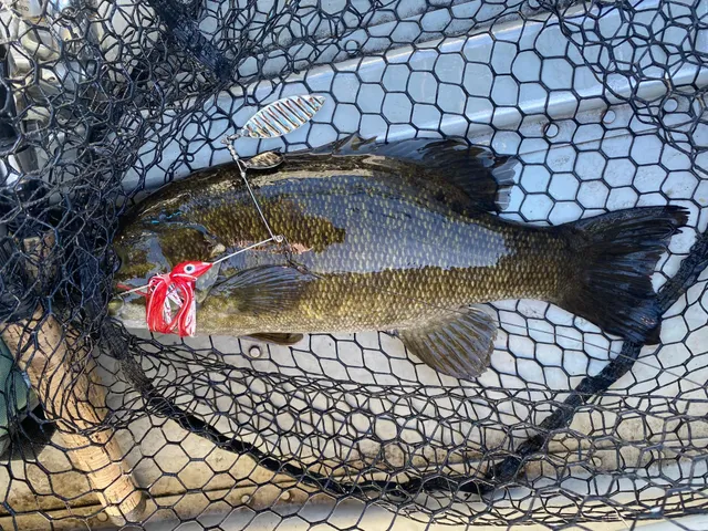 $49,900 | Tbd Buck Drive, Bovey, MN 55709