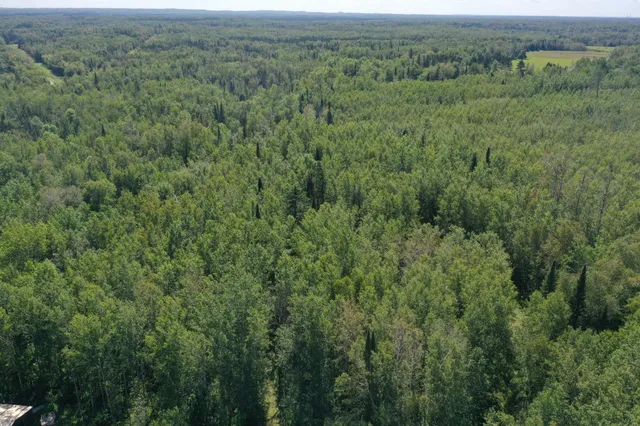 $49,900 | Tbd Buck Drive, Bovey, MN 55709