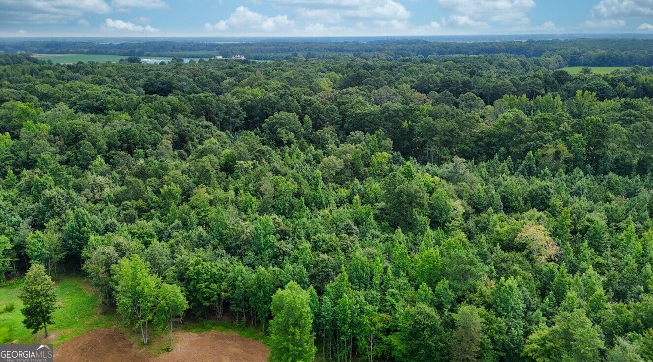0 Jim McLemore Road, Unit A Harvest, AL 35749 - Photo 24 of 36 Gallery Image 24