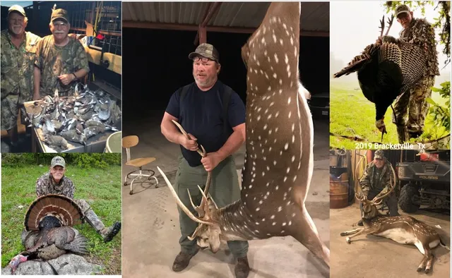 an aerial view of residential building with trees