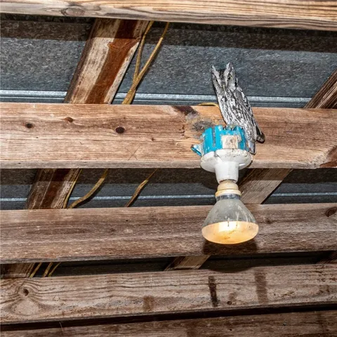 a view of a room with furniture and window