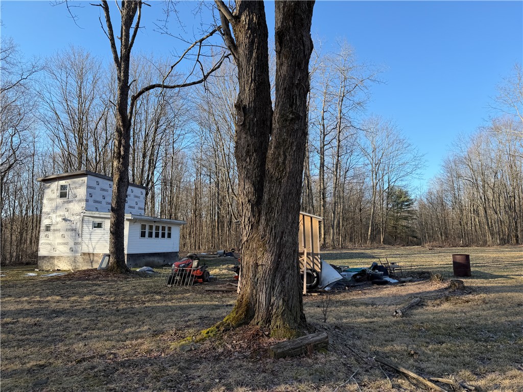 2680 Apple Tree Road Clarksville, NY 14715 - Photo 4 of 38