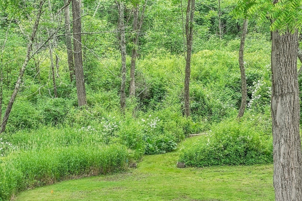 24 Sandy Pond Road Lincoln, MA 01773 - Photo 39 of 42 a view of lush green forest