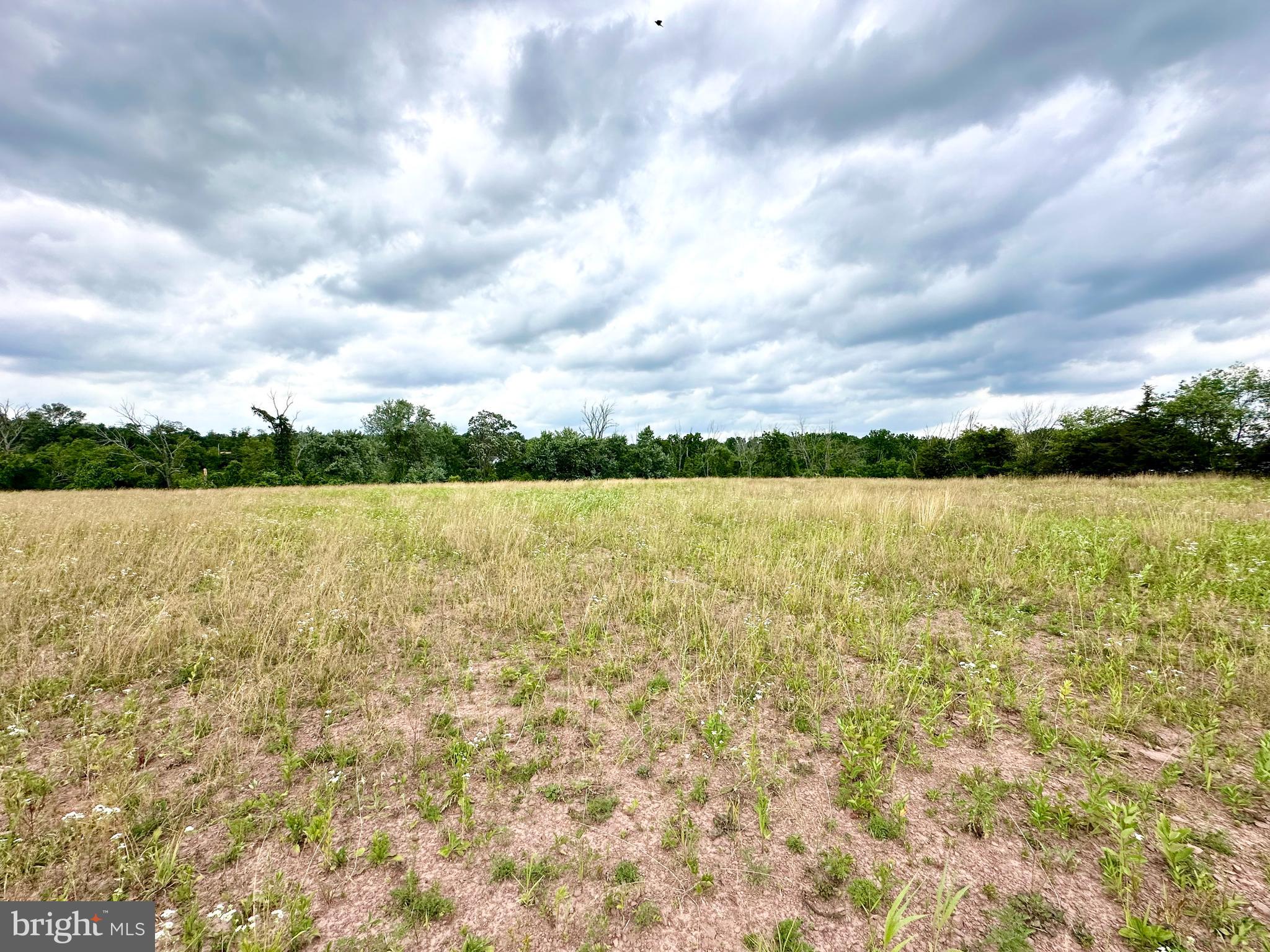0 Creamery Road Ottsville, PA 18942 - Photo 3 of 10