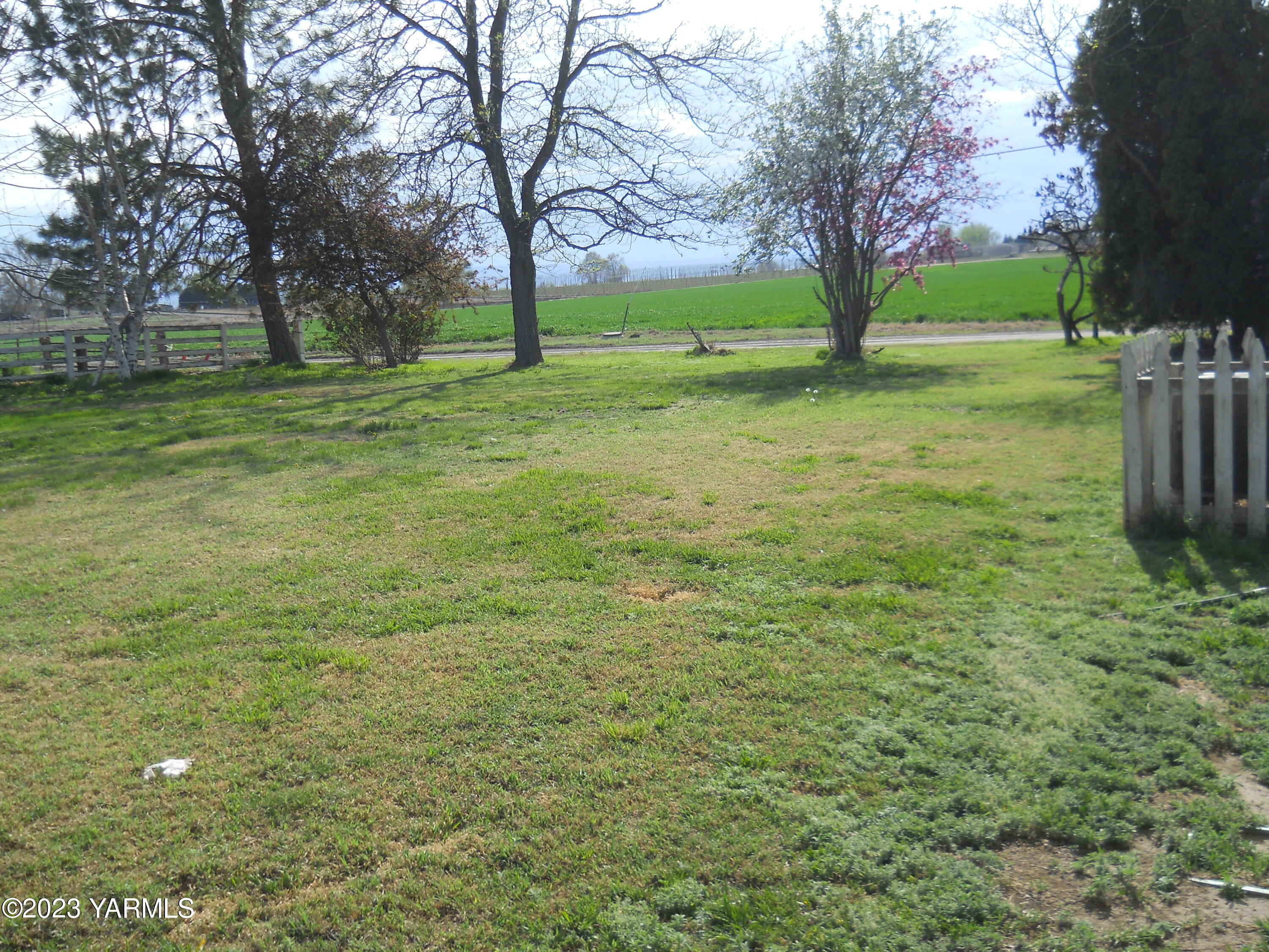 731 Den Boer Road Grandview, WA 98930 - Photo 5 of 9 a view of a trees with a big yard