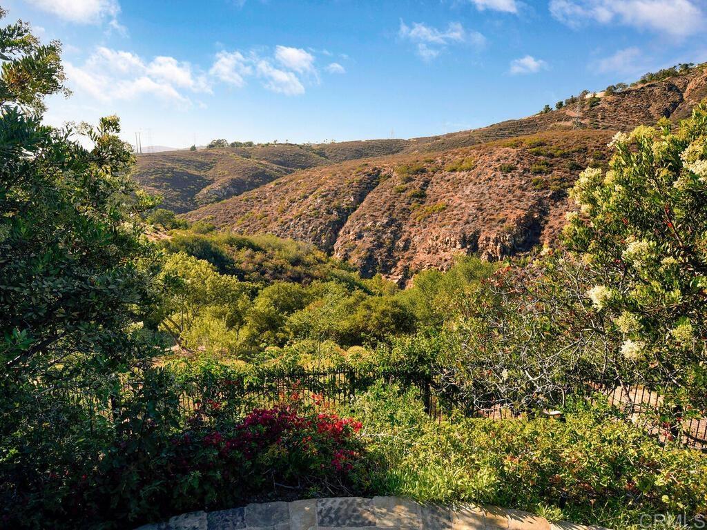 4272 Via Ravello Rancho Santa Fe, CA 92091 - Photo 31 of 38 a view of a dry yard