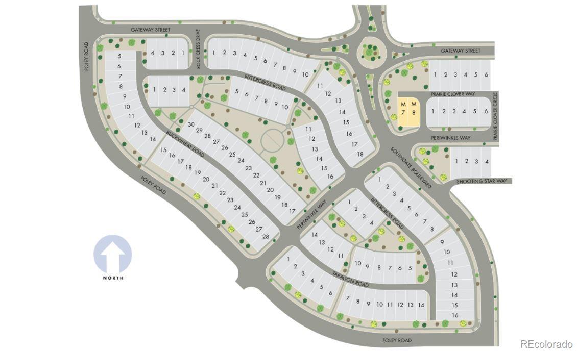 762 Tarragon Road Brighton, CO 80640 - Photo 5 of 5