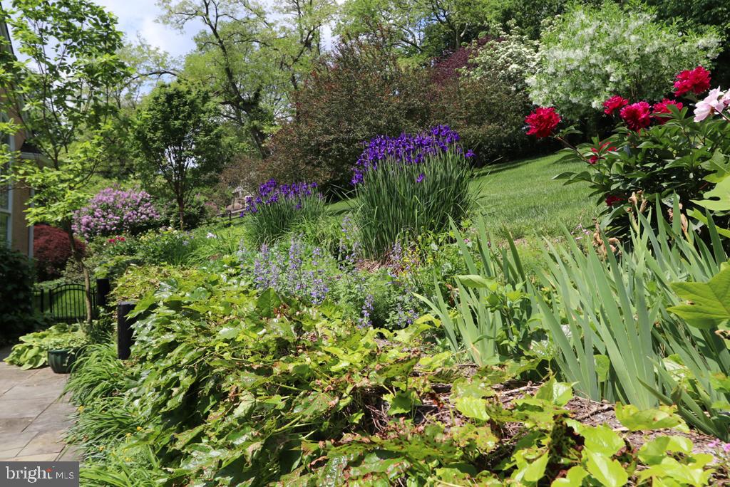 618 Newtown Road Villanova, PA 19085 - Photo 53 of 62 flowers and more flowers!