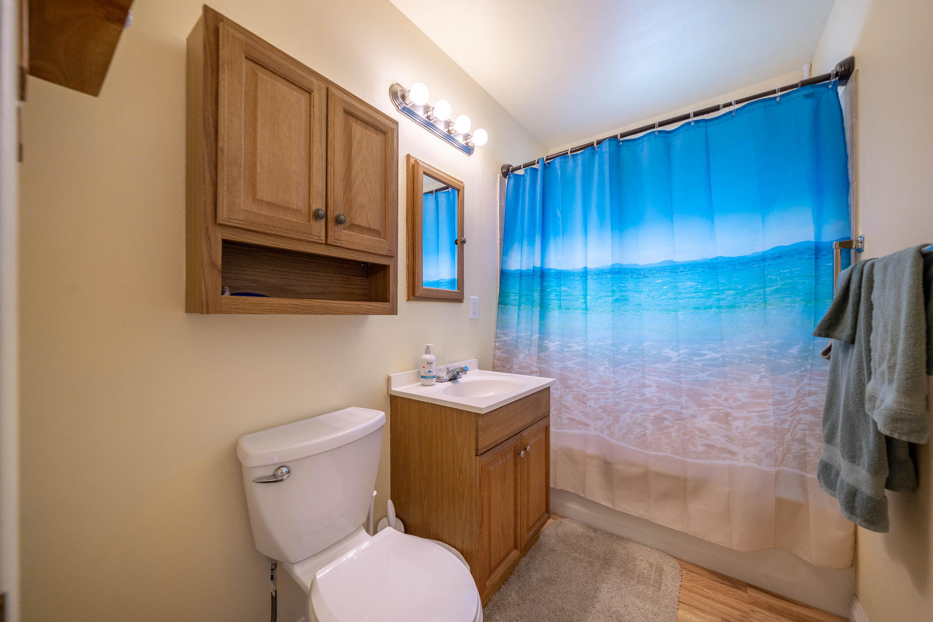3055 Sharon Avenue Anderson, CA 96007 - Photo 20 of 52 a bathroom with a sink toilet and shower