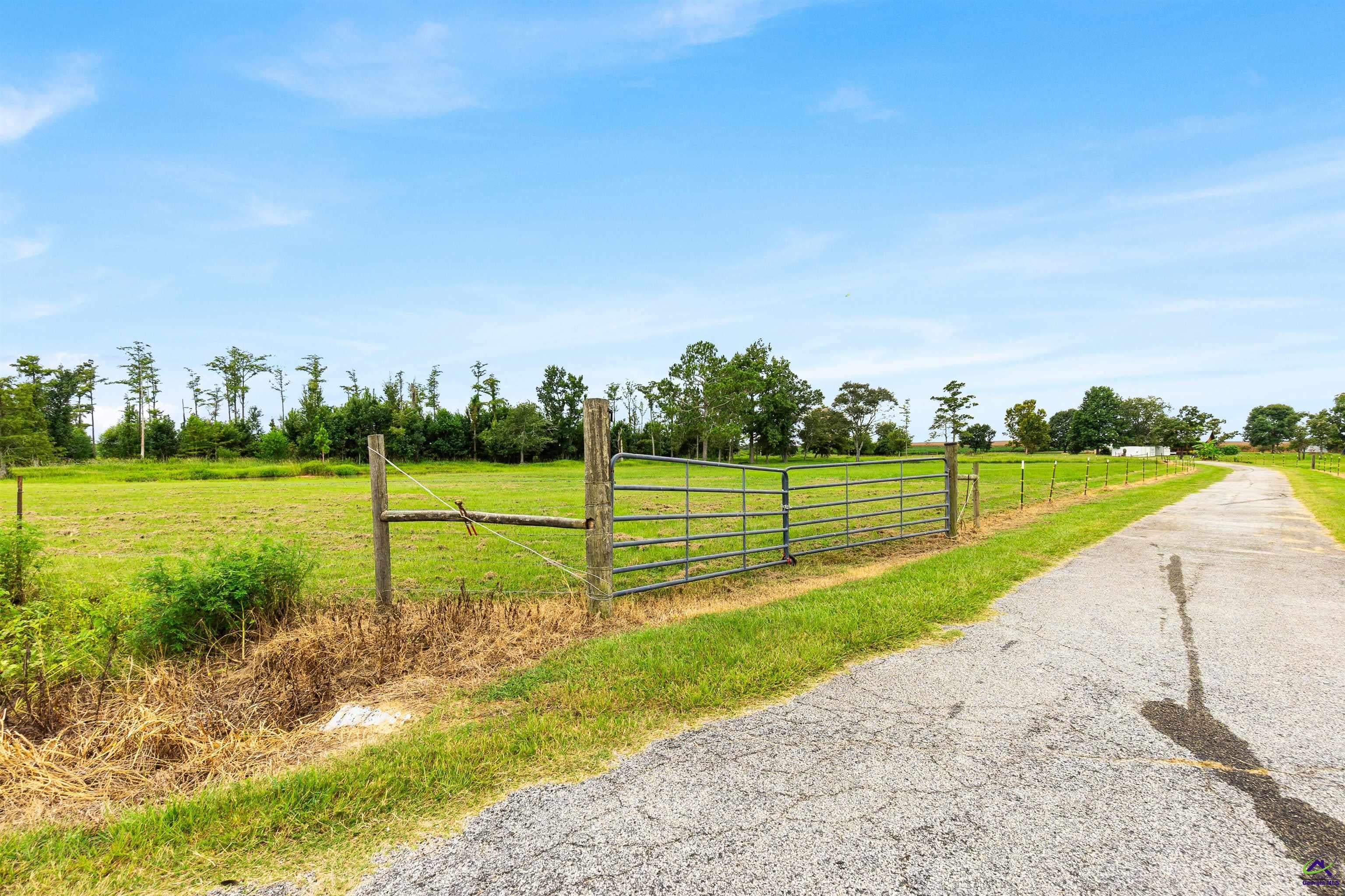 323 Rocky Ford Road Pinehurst, GA 31070 - Photo 46 of 73 Gallery Image 46