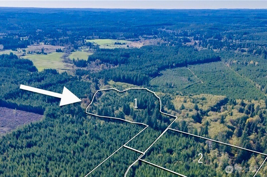 211 West New Moon Lane Matlock, WA 98560 - Photo 1 of 31