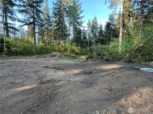 $260,000 | 211 West New Moon Lane, Matlock, WA 98560