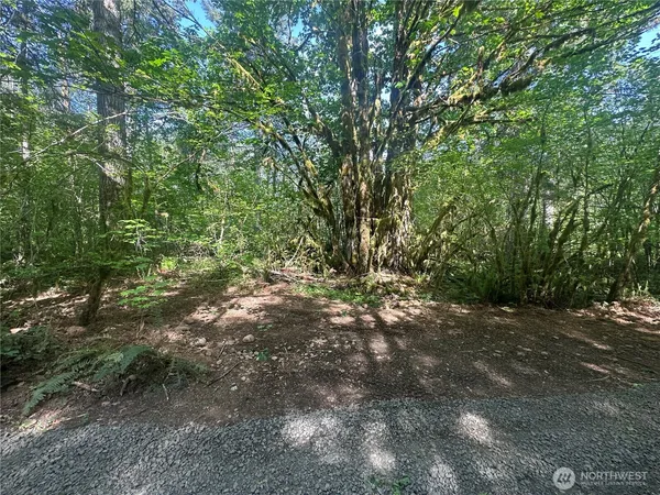 $260,000 | 211 West New Moon Lane, Matlock, WA 98560