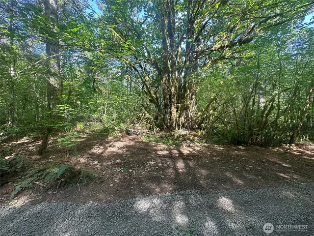 $260,000 | 211 West New Moon Lane, Elma, WA 98541