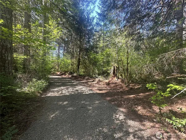 $260,000 | 211 West New Moon Lane, Matlock, WA 98560