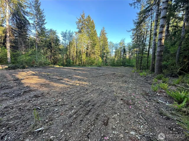 $260,000 | 211 West New Moon Lane, Elma, WA 98541