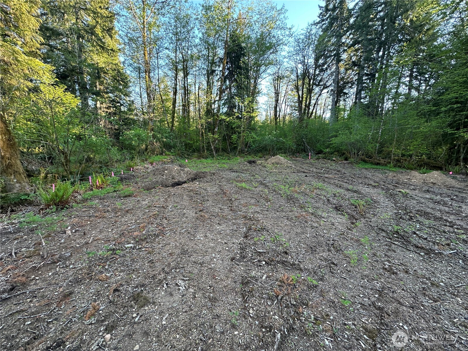 211 West New Moon Lane Matlock, WA 98560 - Photo 10 of 31
