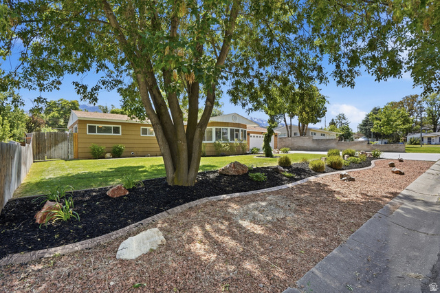 6889 South Village Road Salt Lake City, UT 84121 - Photo 36 of 44 Mature tree featuring a landscaped bed with dark mulch and decorative rocks