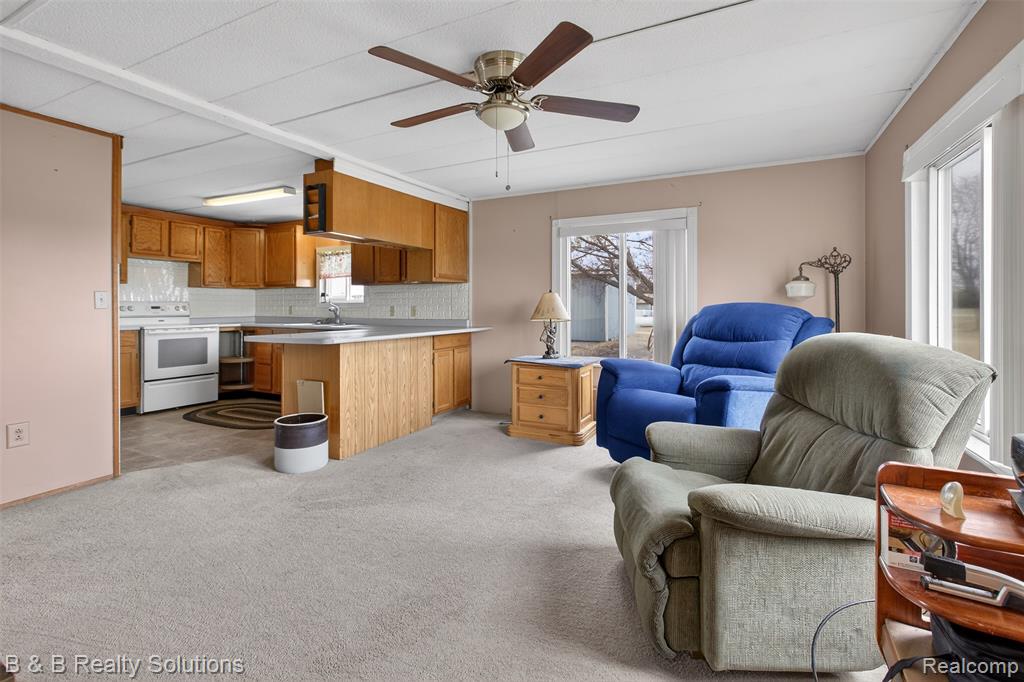 6946 Clifford Road Marlette, MI 48453 - Photo 8 of 25