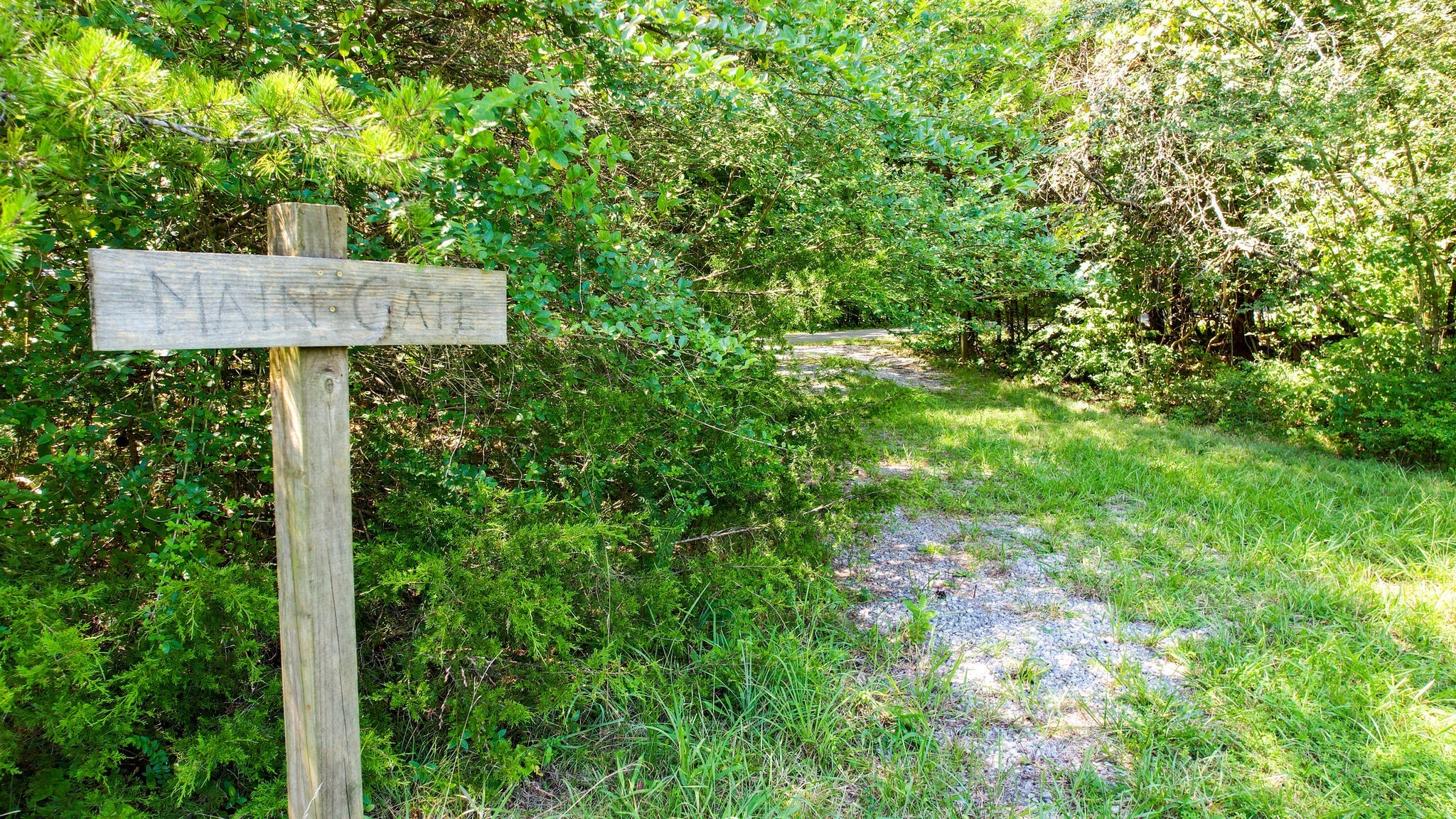 0 Harris Cemetery Road Chapel Hill, TN 37034 - Photo 3 of 10 Gallery Image 3
