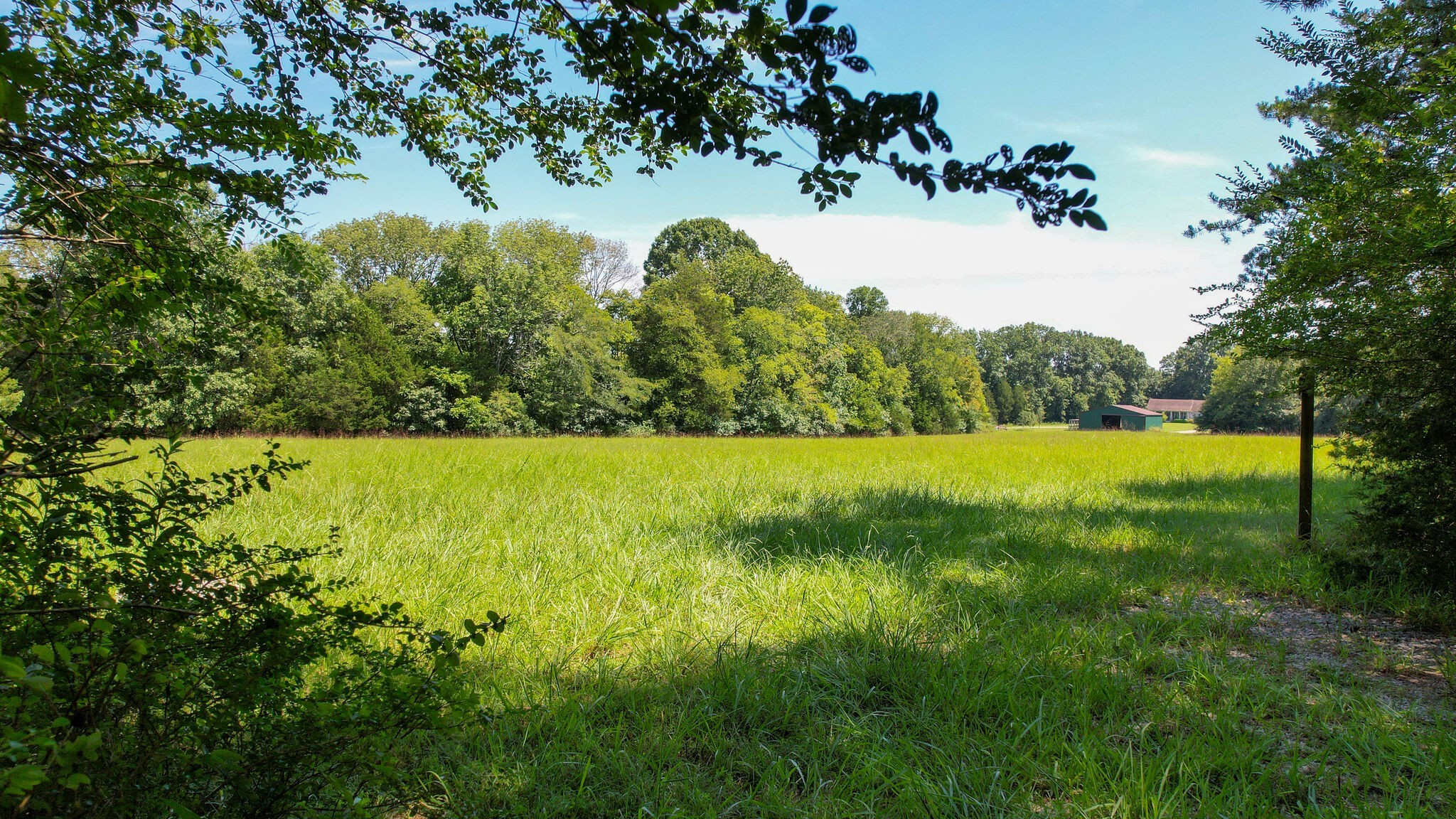 0 Harris Cemetery Road Chapel Hill, TN 37034 - Photo 4 of 10 Gallery Image 4