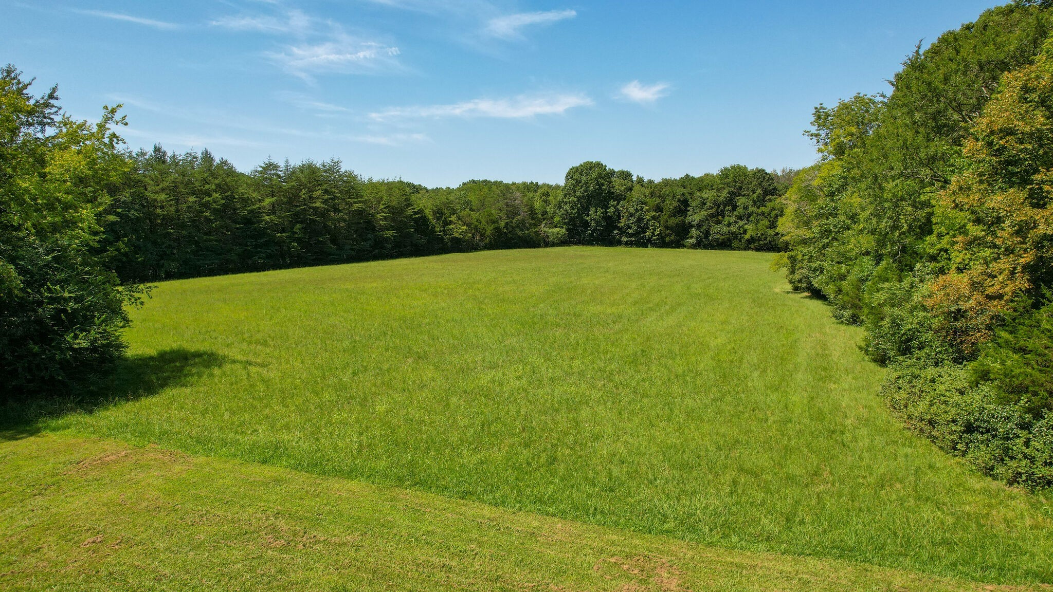 0 Harris Cemetery Road Chapel Hill, TN 37034 - Photo 6 of 10 Gallery Image 6