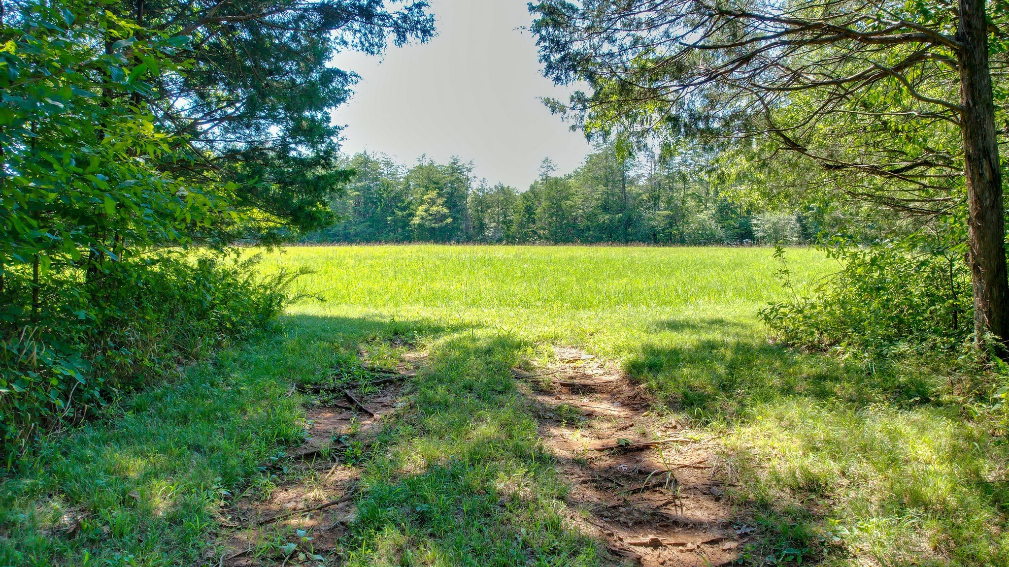 0 Harris Cemetery Road Chapel Hill, TN 37034 - Photo 8 of 10 Gallery Image 8