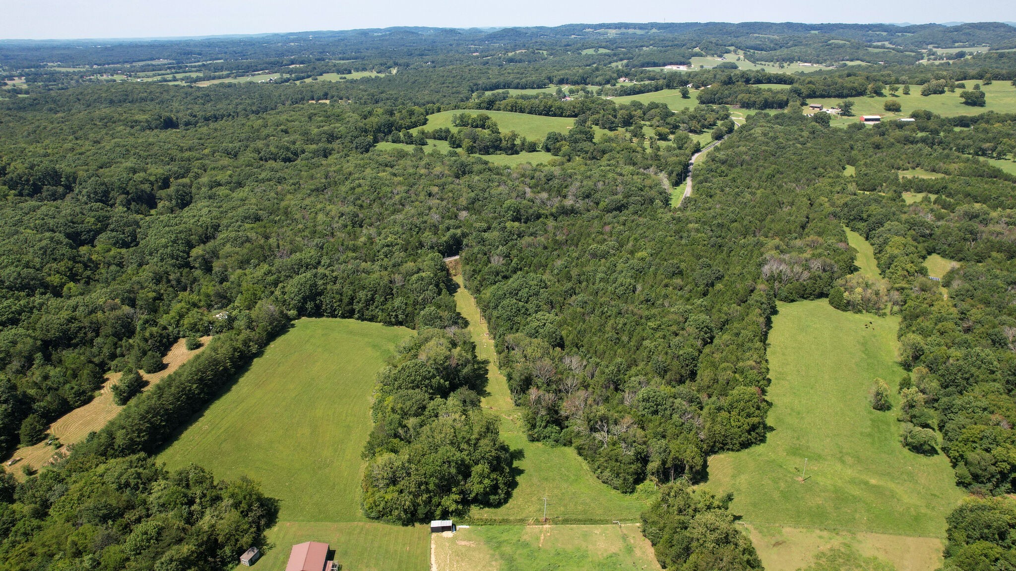 0 Harris Cemetery Road Chapel Hill, TN 37034 - Photo 10 of 10 Gallery Image 10