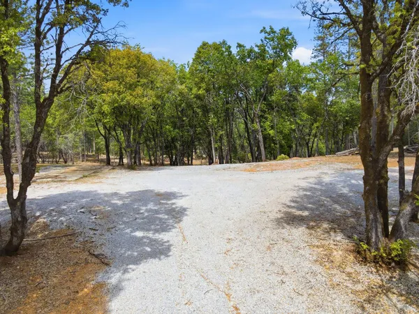 a view of road with trees