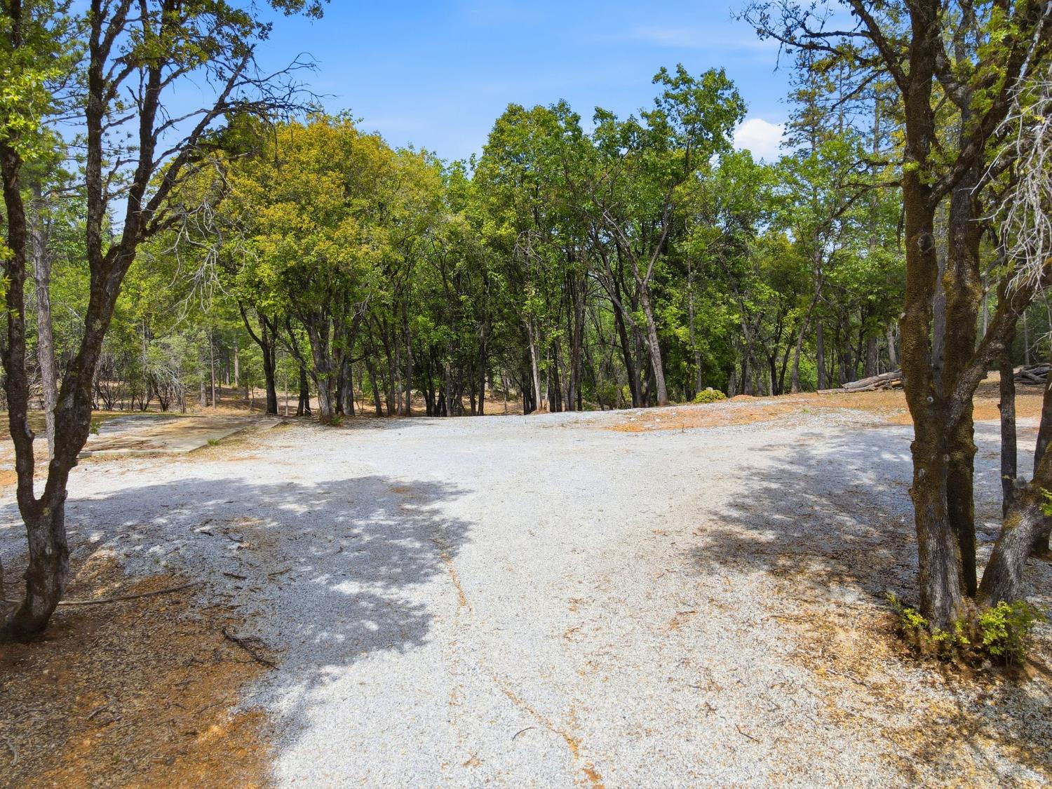 1451 Big Oak Road Placerville, CA 95667 - Photo 1 of 22 a view of road with trees