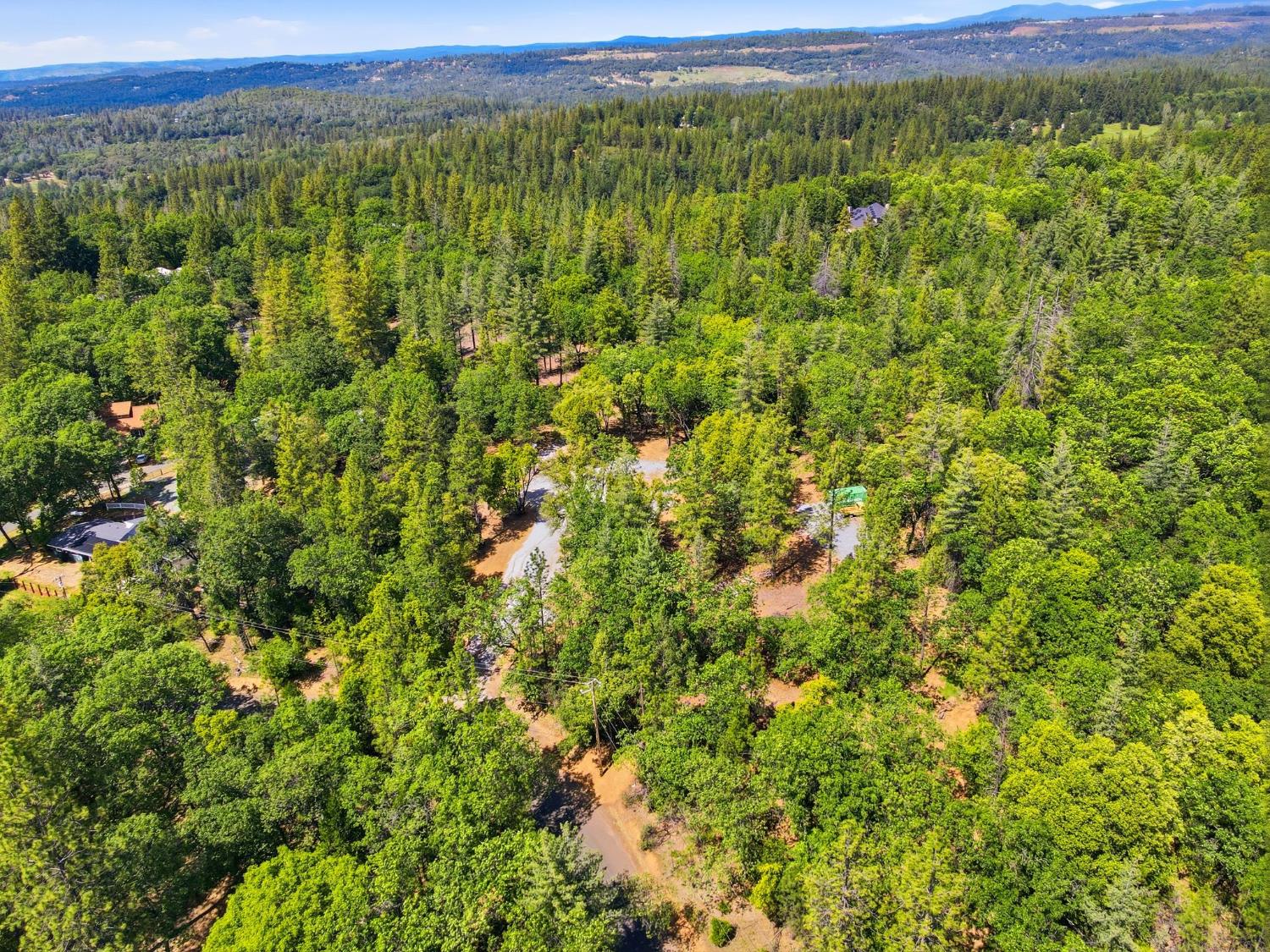 1451 Big Oak Road Placerville, CA 95667 - Photo 13 of 22 a view of a green field with lots of bushes