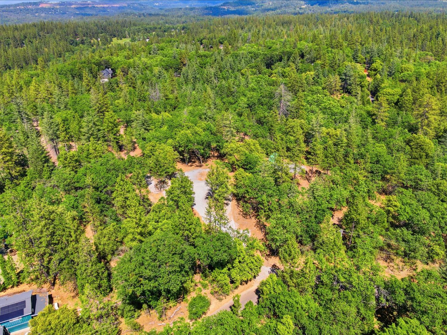 1451 Big Oak Road Placerville, CA 95667 - Photo 14 of 22 a view of a lush green forest with houses