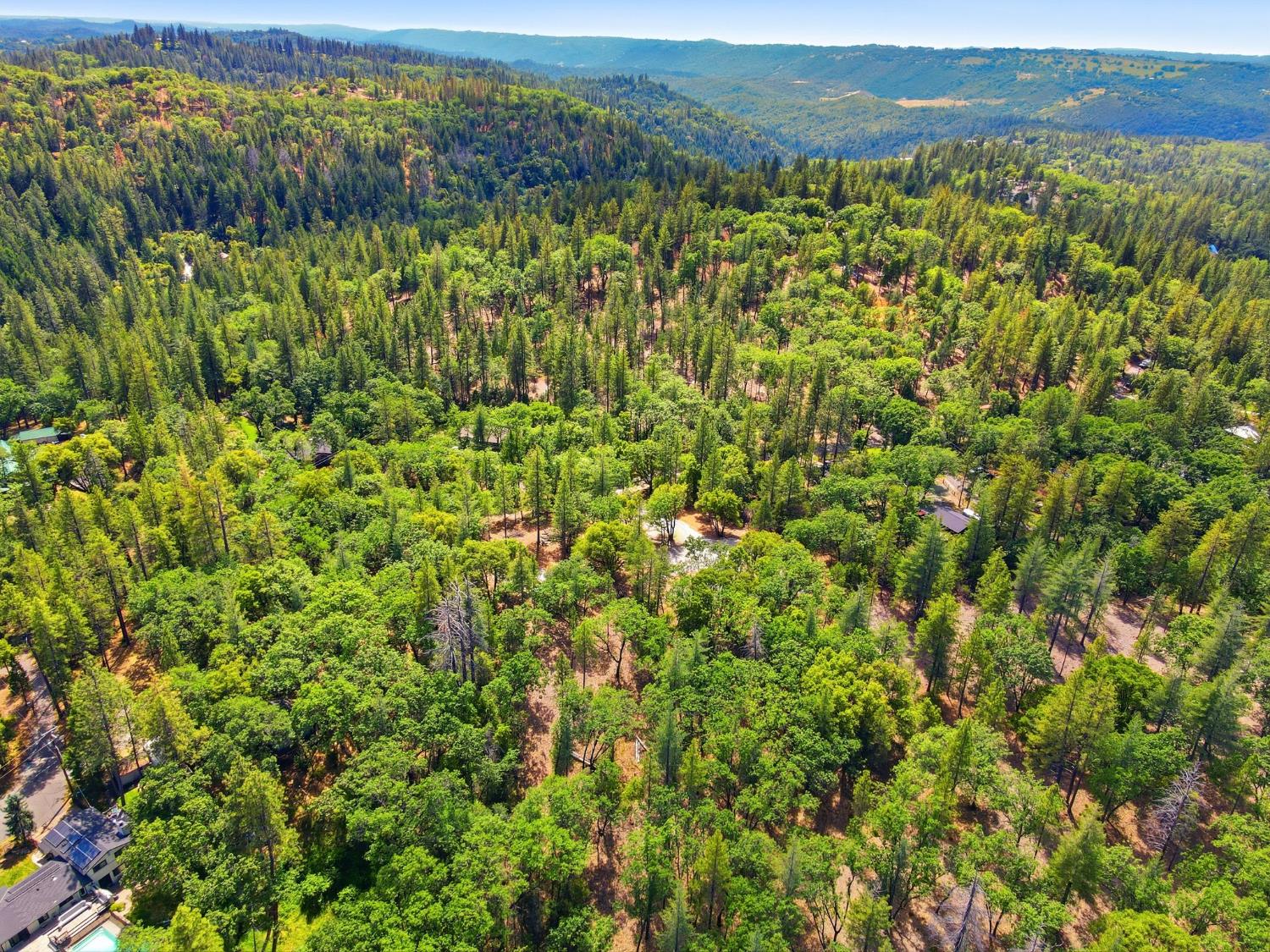 1451 Big Oak Road Placerville, CA 95667 - Photo 17 of 22 a view of a field with a lush green forest