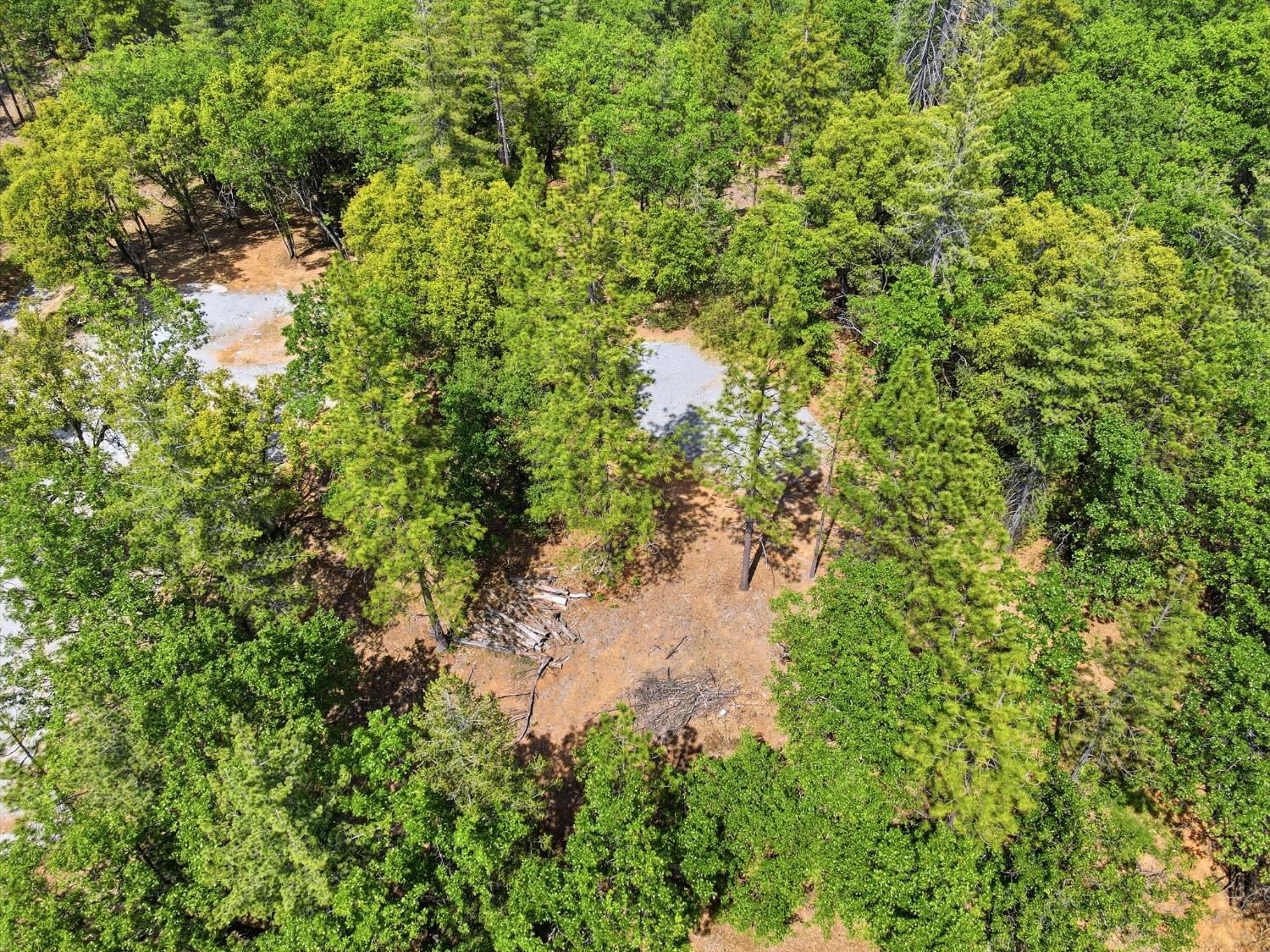 1451 Big Oak Road Placerville, CA 95667 - Photo 20 of 22 a view of a lake view with sitting space