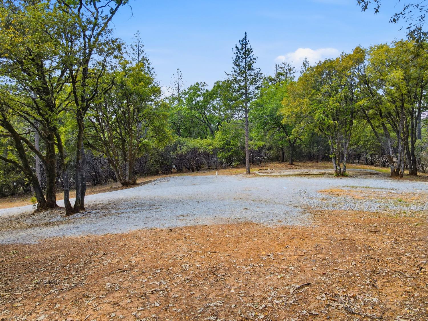 1451 Big Oak Road Placerville, CA 95667 - Photo 2 of 22 a view of dirt yard with a trees