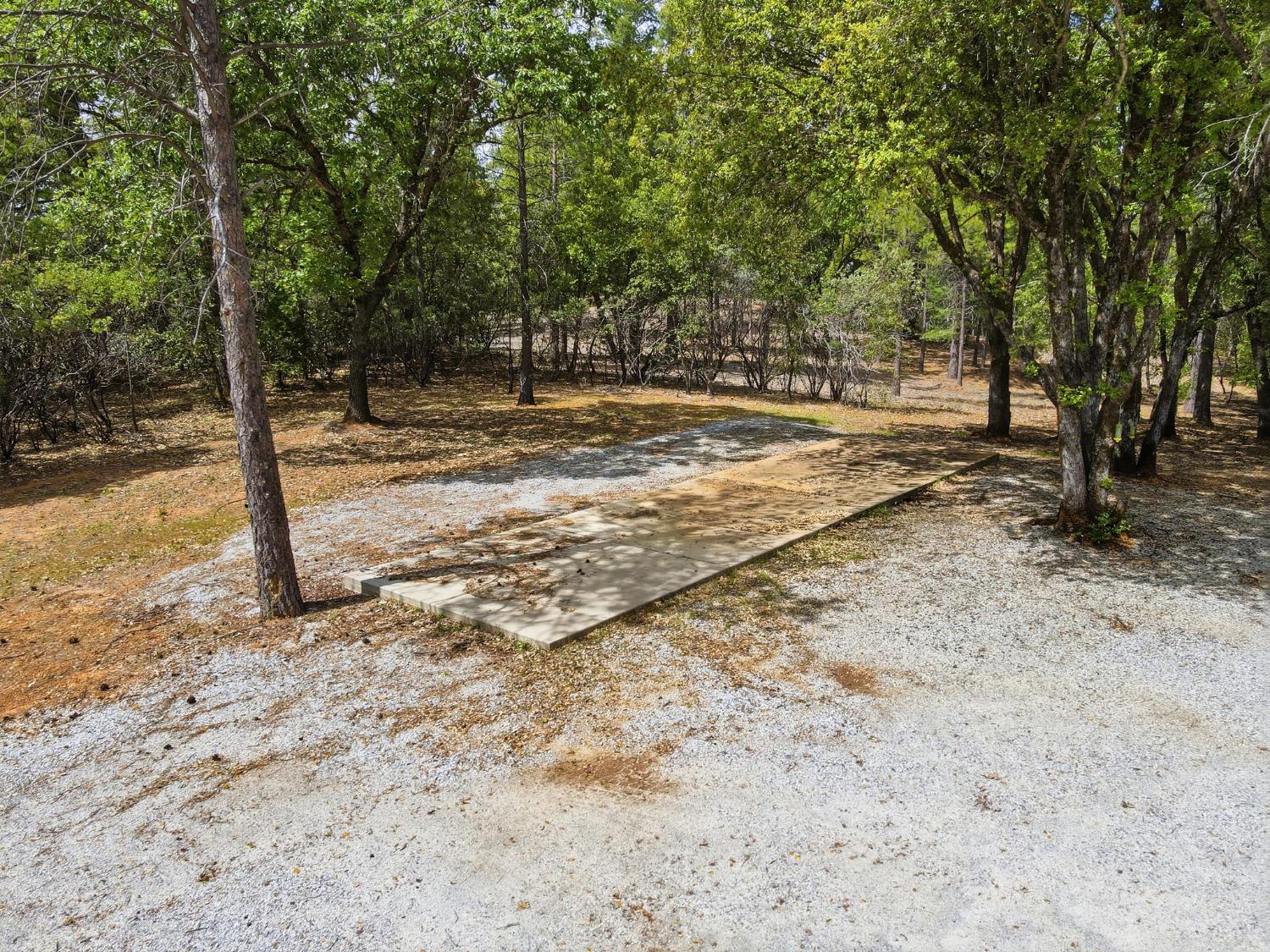 1451 Big Oak Road Placerville, CA 95667 - Photo 4 of 22 a view of a yard with trees