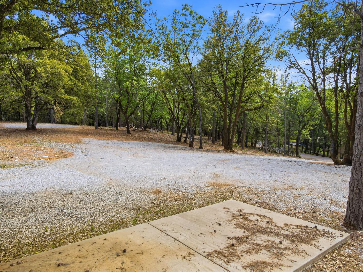1451 Big Oak Road Placerville, CA 95667 - Photo 5 of 22 a view of a yard with a tree