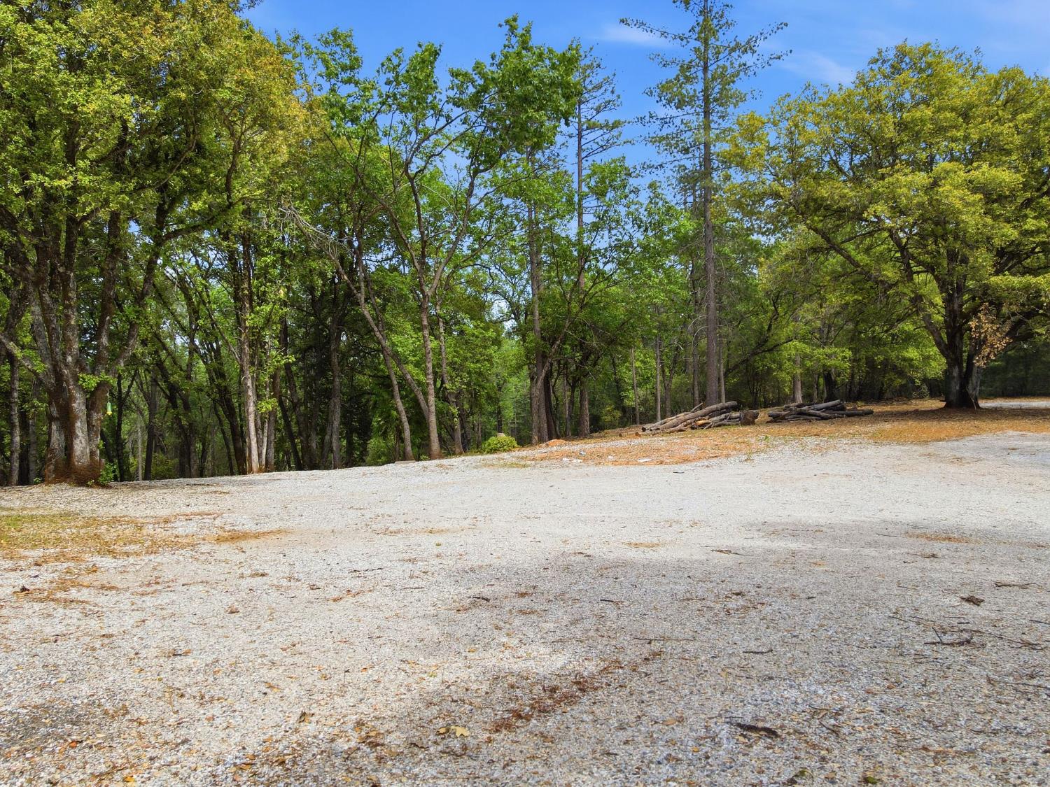 1451 Big Oak Road Placerville, CA 95667 - Photo 7 of 22 a view of outdoor space with trees