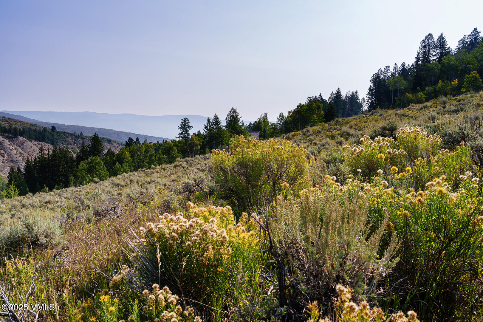 534 Graham Road Edwards, CO 81632 - Photo 13 of 54 a view of a bunch of flowers and trees