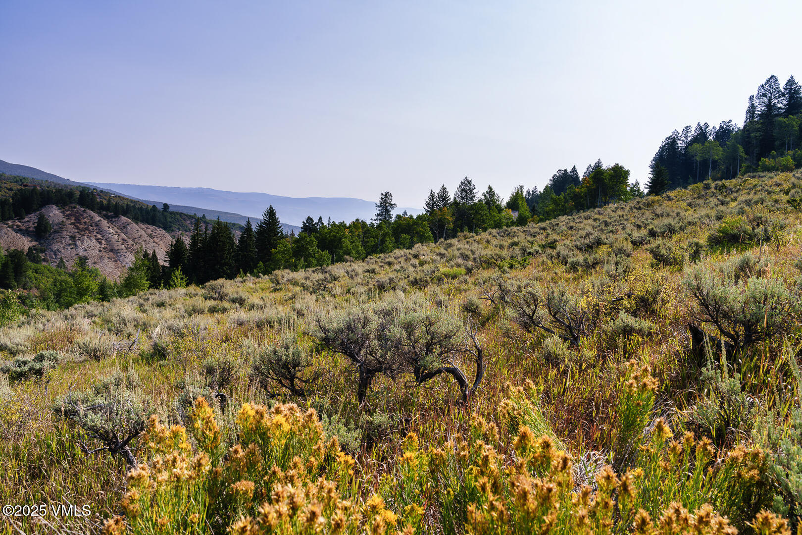 534 Graham Road Edwards, CO 81632 - Photo 14 of 54