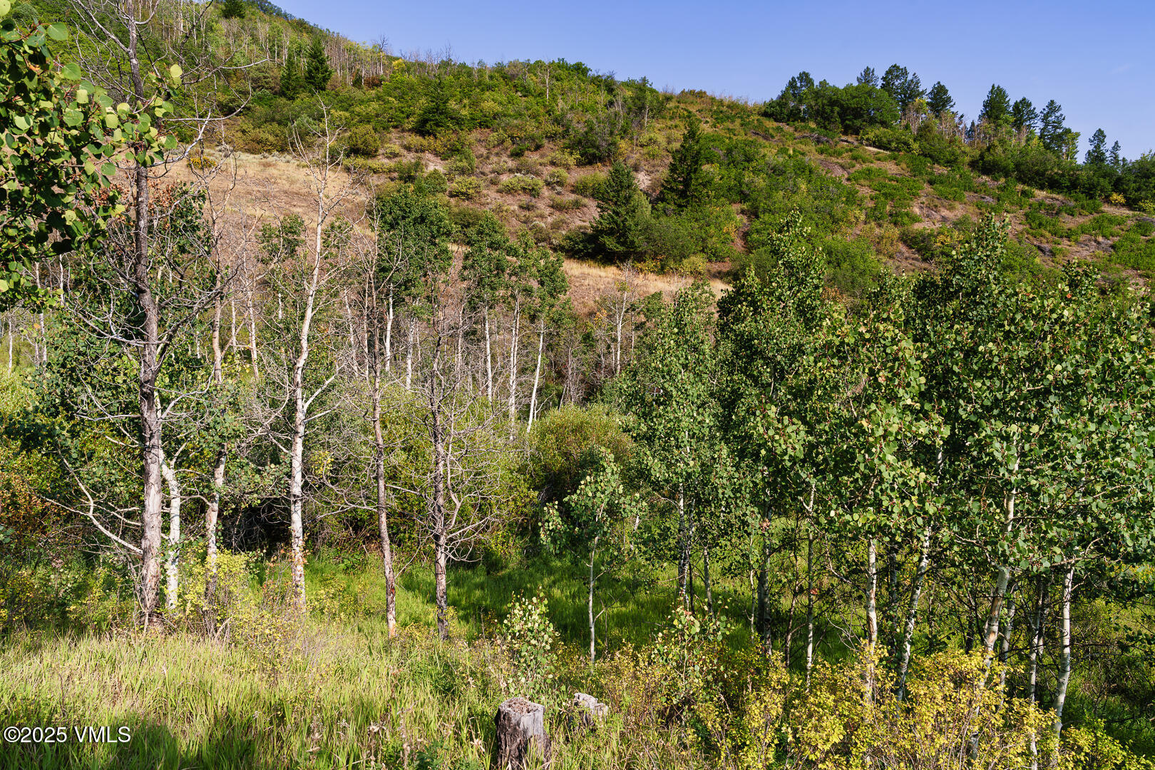 534 Graham Road Edwards, CO 81632 - Photo 17 of 54 a view of a lake view