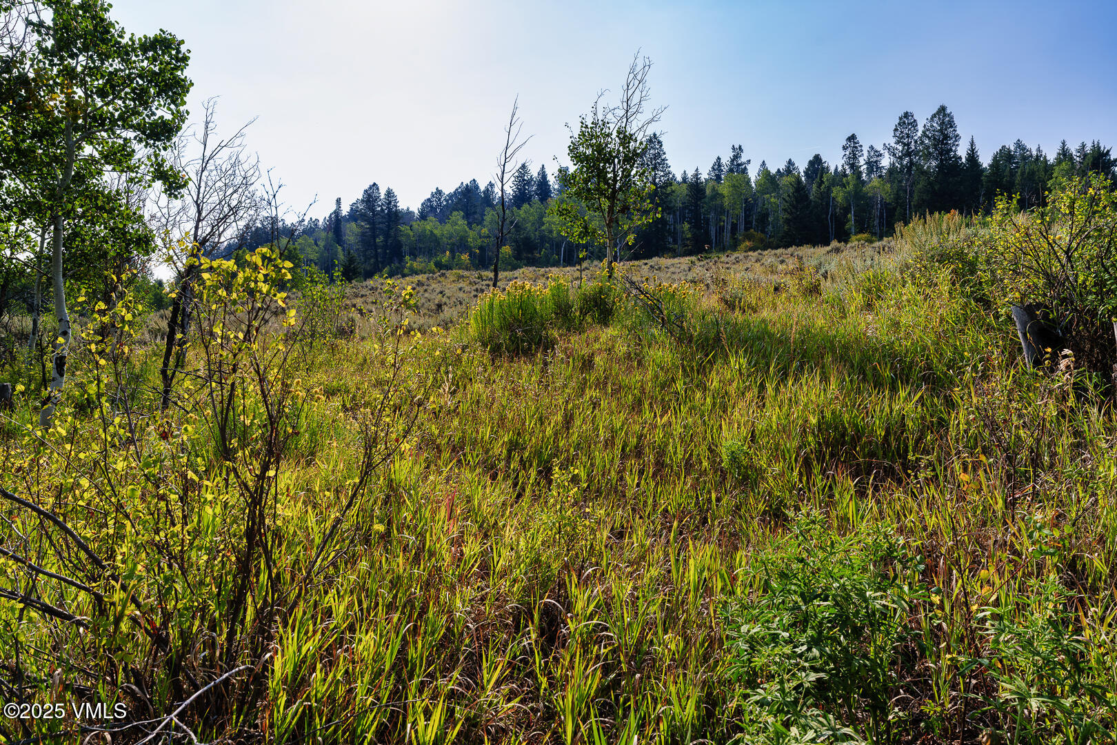 534 Graham Road Edwards, CO 81632 - Photo 20 of 54 a view of a lush green space with sea
