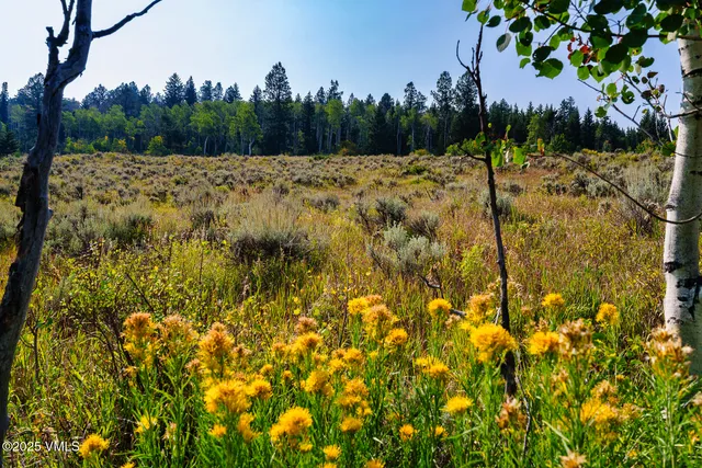 a view of a backyard of the house