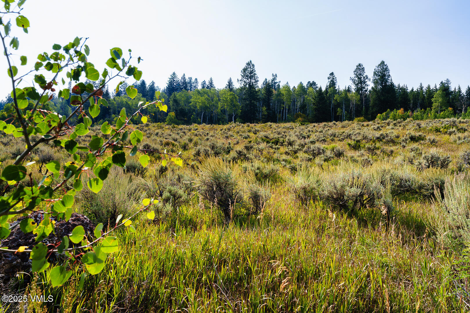 534 Graham Road Edwards, CO 81632 - Photo 23 of 54