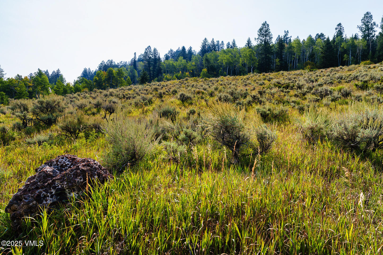 534 Graham Road Edwards, CO 81632 - Photo 24 of 54 a view of a yard